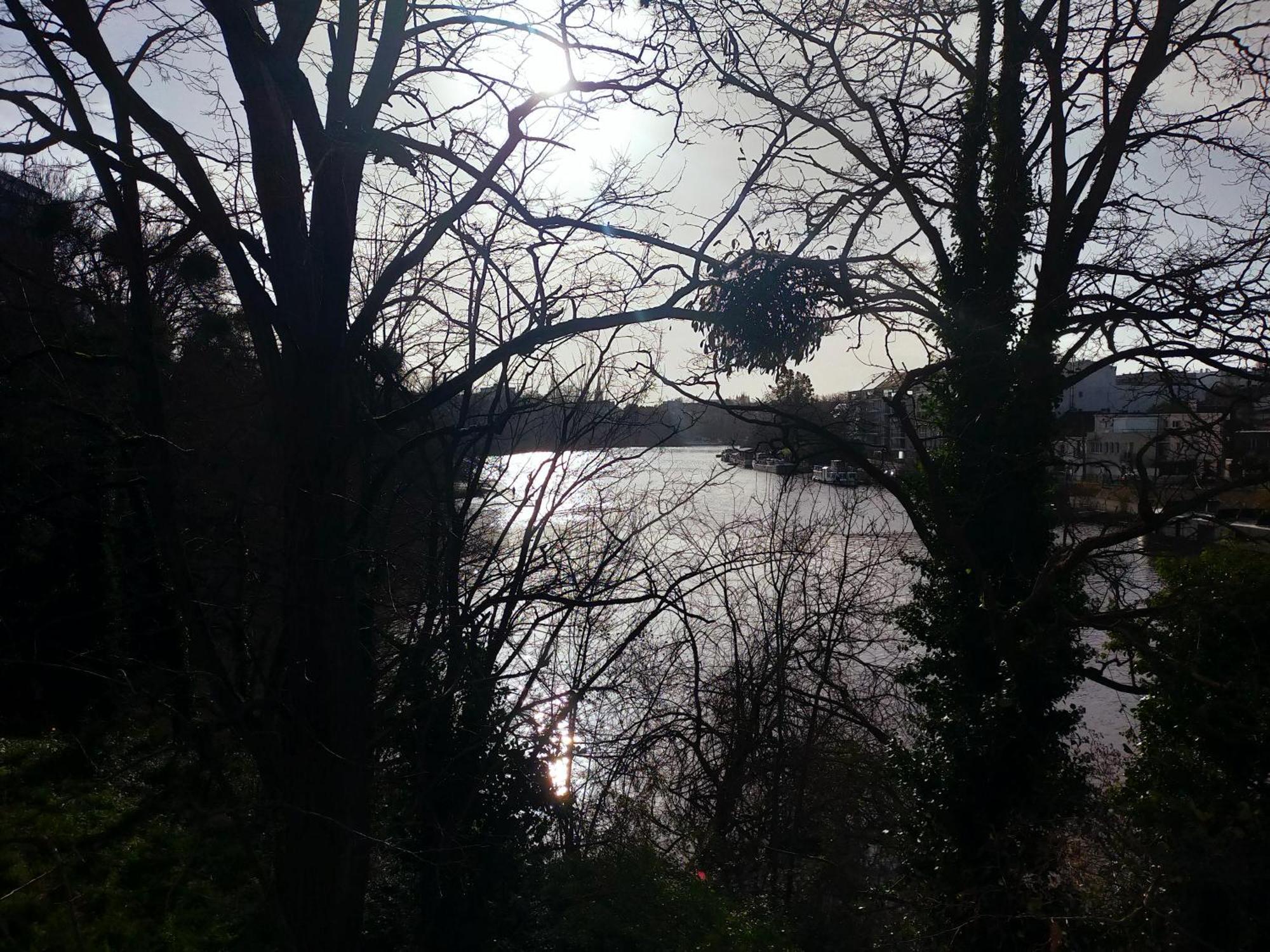L'Arbre Aux Herons - Panoramique Nantes Wifi Dış mekan fotoğraf